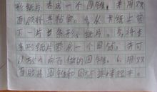 我和小动物的故事作文