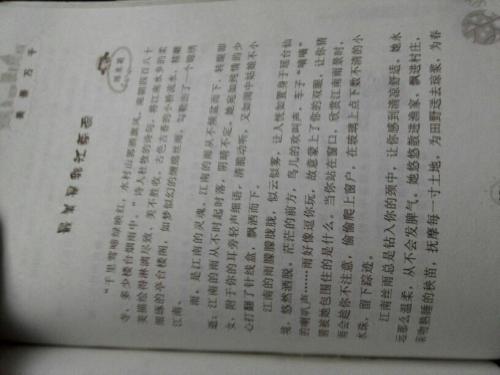 600字独特的风景在这里
