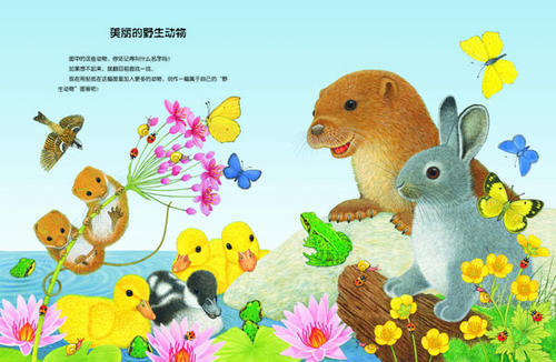 动物的声音