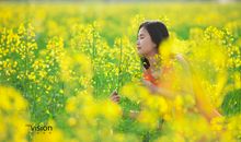 幸福，原来一直都在