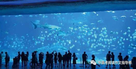 慢慢地我明白了