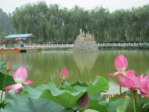 有花卉，你的日子会发光