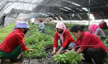 那一曲妙音，滋润了我的心田