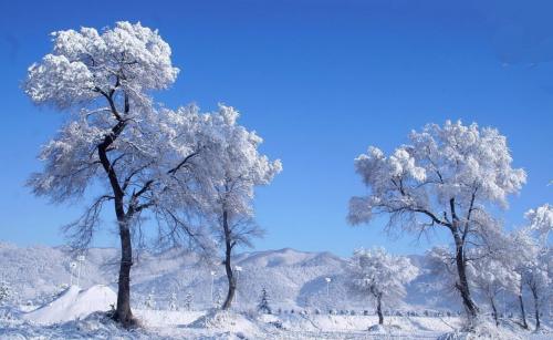 “雪”我爱你