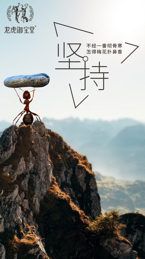 孤独是一个财富