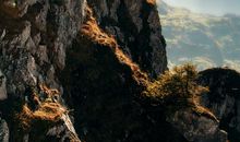 孤独是一笔财富