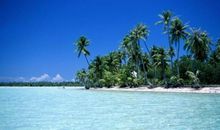 这个夏日真不寻常