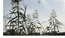 暖冬里的小幸福