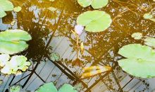 难忘那温馨的微笑