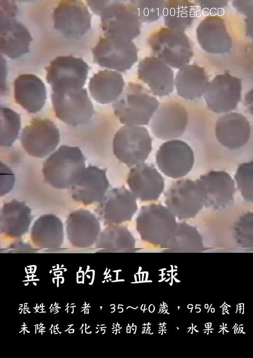 生存在风雨上