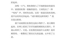 四年级下册琥珀作文