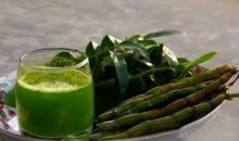 铁皮石斛的秘密