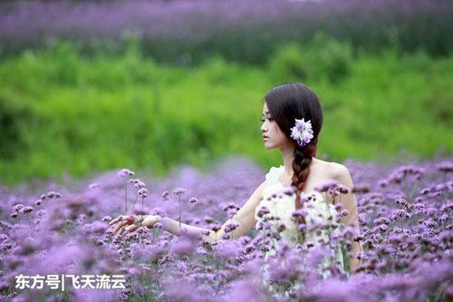 品尝寿命