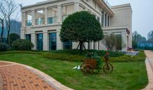 美丽的青园小学