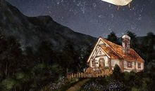 依靠大树还是仰望星空