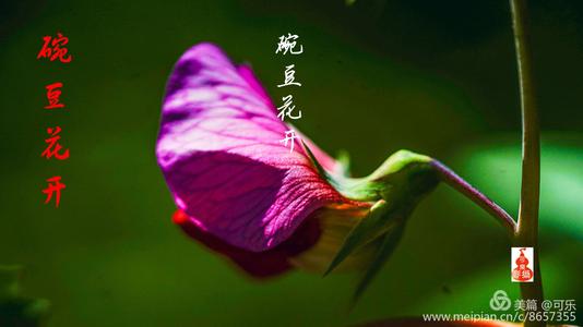 现场想象一下
