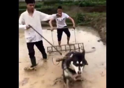 我正在追上满分