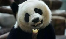 我终于读懂了你的绚丽