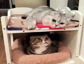 一点点