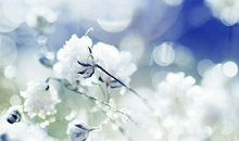 走过你与我的静默时光