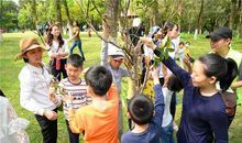 哇！好奇妙的小木屋