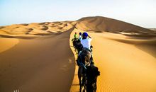 编写童话在一片沙漠里二年级