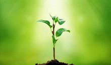 青园时光，我记得