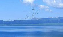 留在心底的朋友