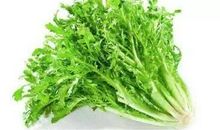 咀嚼“苦口良药”