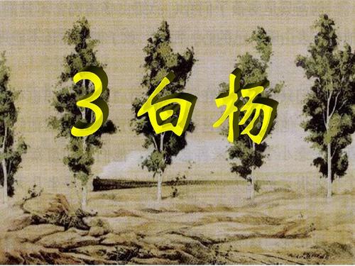 虾我们的杨树