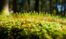 青春因陪伴而不同