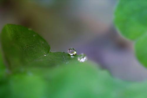 早上雨