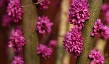 走过校园的四季