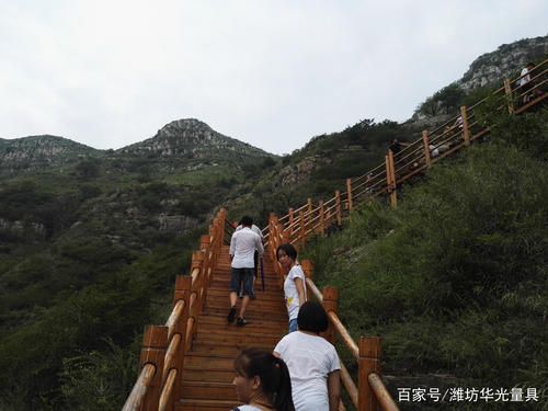 秋季之旅青洲黄花