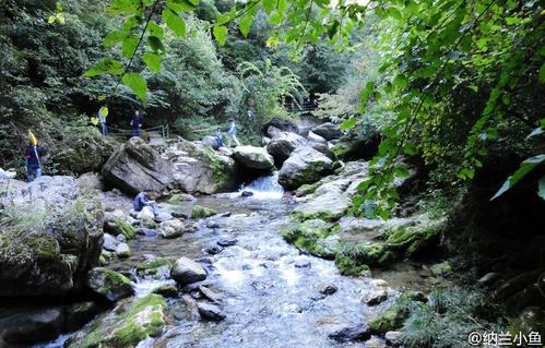 原始森林冒险之旅