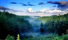 写给世界的一封信