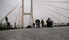 又爱又恨的雪花