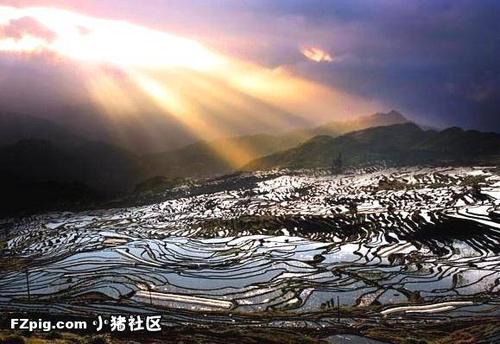 在山腰中成熟