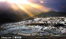 成熟的高度在山腰