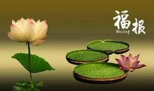 我会慢慢向你靠近