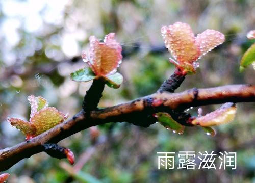 不同的爱，滋润我的心