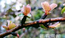 不同的爱，滋润了我的心田