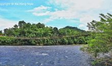 温柔是一条永不枯竭的河