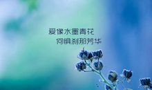 爱的芳华