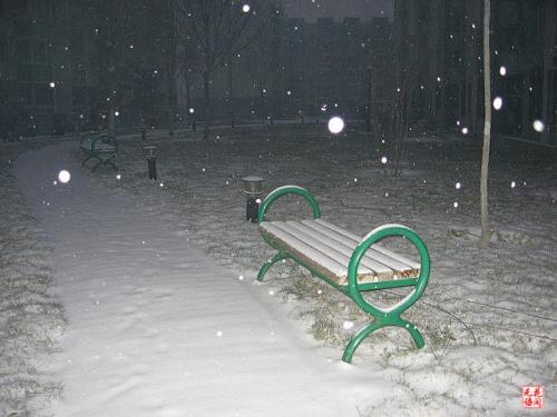 今天下雪了
