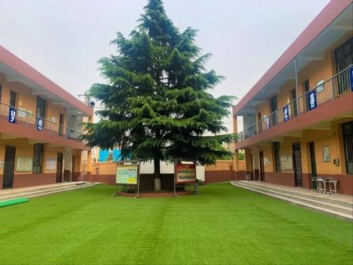 在家里的好学校