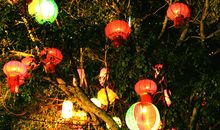 美丽的灯笼