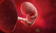 不会变的是妈妈的吻