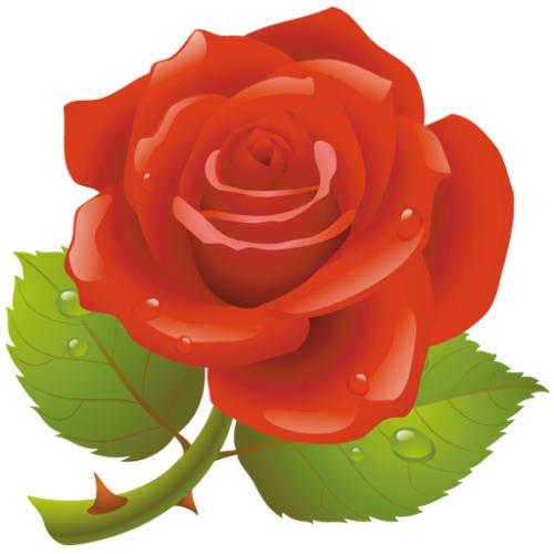 花在纸上绽放