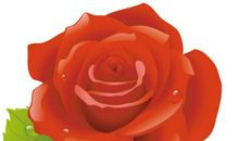 纸上绽放的鲜花